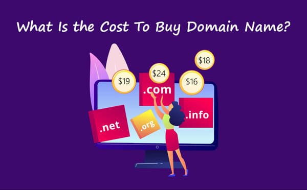 domain name cost