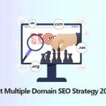 multiple domains seo; How Effective Is the Multiple Domain SEO Strategy?