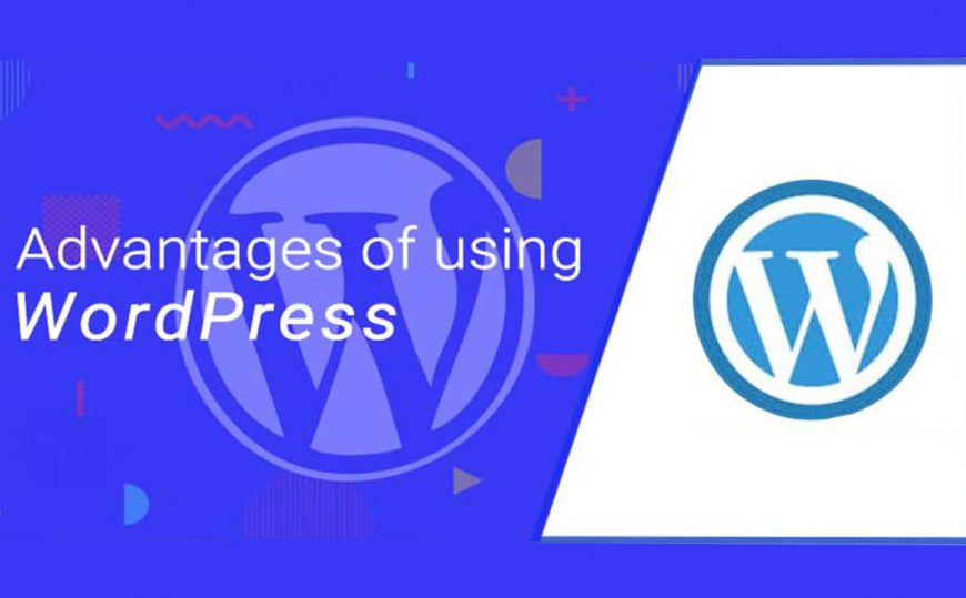 web hosting vs wordpress hosting compared - N6 Host Blog