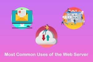 What Is a Web Server & How Does webserver Work? [Complete]