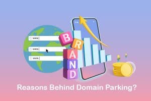 What Is Park Domain? How to Park a Domain? - N6host