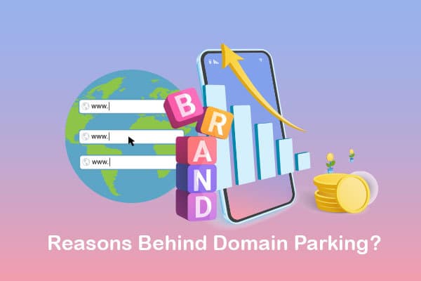 reasons behind domain parking