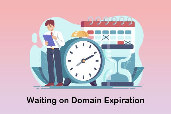 waiting on domain expiration