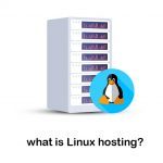 what is linux web hosting? Advantages and Disadvantages of Linux Hosting