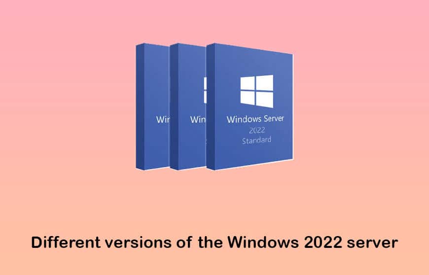 different versions of the windows 2022 server