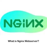 What is Nginx Webserver? Beneift of Using NGINX Web Server