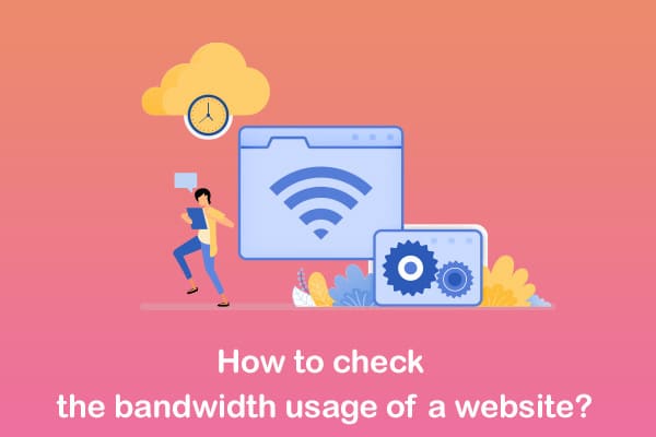 check bandwidth usage